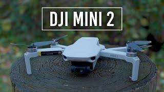 DJI Mini 2 Drone | Hands-on Review