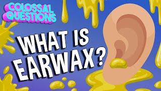 What Is Earwax? | COLOSSAL QUESTIONS