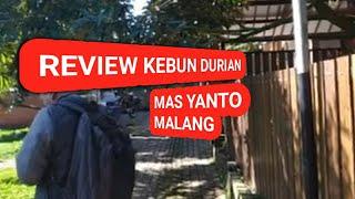 REVIEW KEBUN DURIAN || MAS YANTO MALANG ||~Produsen Durian Premium Di Indonesia~