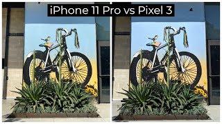 iPhone 11 Pro vs Pixel 3 Camera Comparison - Photo Quality