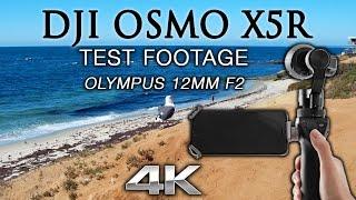 DJI OSMO ZENMUSE X5R Olympus 12mm 4K Test Footage  - Virtual Hike in La Jolla, California