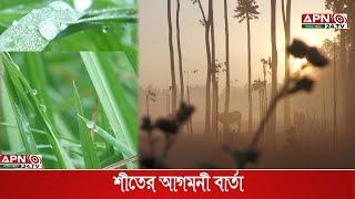 ভোরের কুয়াশা জানান দিচ্ছে শীতের আগমনী বার্তা: | Winter | Fog | Apn24tv