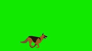 dog running animation cartoon green screen video copyright free to use