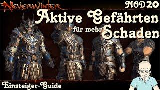 NEVERWINTER: Aktive Gefährten für mehr Schaden - dps/DD-Gefährten - Einsteiger-Guide PS4 deutsch