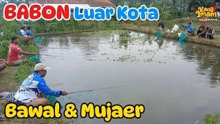 17 : Mancinge Mandan Adoh, Luar Kota !!! Mancing Bawal karo Jaer Babon