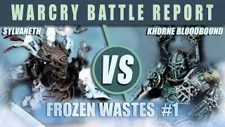 Warcry Battle Report - Sylvaneth vs Khorne! Frozen Wastes Campaign Ep. 1