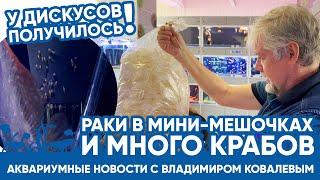  Аквариумные новости с Владимиром Ковалевым (09.06.2023). Раки в мини-мешочках, много крабов.