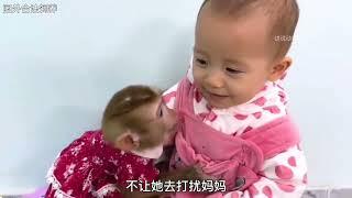 "Monkeying Around with My Baby Monkey: Funny Moments #MonkeyHumor #PetMonkey".