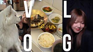 爆買い爆食い韓国旅行VLOG