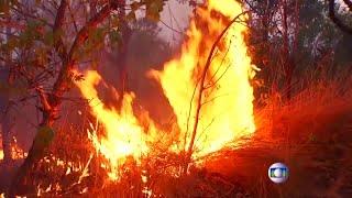 AMAZON RAINFOREST FIRES