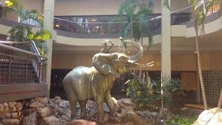 DEAD MALL SERIES : Best Fountain in the US : Burlington Center Mall NJ **CLOSED**