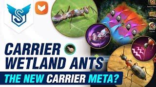 Carrier Wetland Ants: The New Carrier Meta - The Ants: Underground Kingdom [EN]