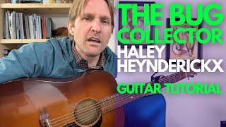 The Bug Collector Guitar Tutorial   Haley Heynderickx - Guitar Lessons with Stuart!