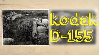 Kodak D-155 Print Developer