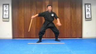 FREE Nintaijutsu for youtube #001