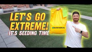 How to Seed A New Lawn // Why Use Jack's Magic as Topdressing? // Barenbrug EXTREME Dwarf Rye!