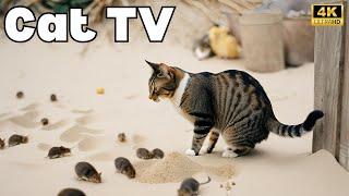 Cat TV Games| Mice Hide and Seek Fun! 4k 60fps