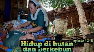 mencari ramuan herbal tanaman ajaib untuk penyakit bang komri warta petani muda hidup di hutan