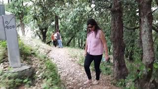 Trekking at Kali ka Tibba Chail Himachal | Small Trek for Family