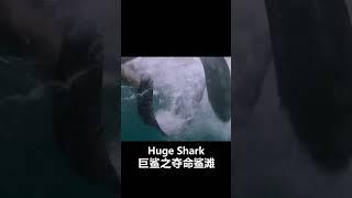 It's not worth doing this for such a scumbag!  #巨鲨之夺命鲨滩 #HugeShark #movies #horrormovie #灾难片 #惊悚