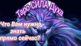 Экспресс-расклад: Что Вам нужно знать прямо сейчас?