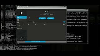 Bitnet IO with Quantum framework hopefully soon *prototype video* 07-22-2024