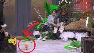 Azis dan Mpok Alpa KETAKUTAN Lihat Boneka Anjing | OPERA VAN JAVA  (22/11/18) Part 3