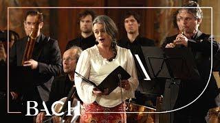 Bach - Cantata Wir danken dir... BWV 29 - Van Veldhoven | Netherlands Bach Society