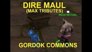 How To Get Max Tributes From Dire Maul North (Gordok Commons)