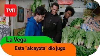 Esta "alcayota" dio jugo | La Vega - T1E6