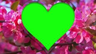 Green Screen Heart Frame