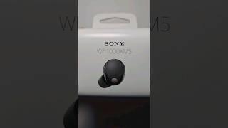 Sony WF-1000XM5 Earbuds Unboxing! (Black)