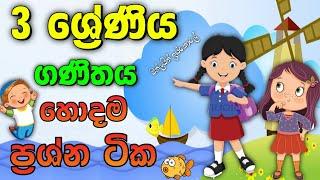 3 wasara ganithaya | grade 3 sinhala | grade 3 paper | online iskole