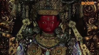 Bodhi TV : Pilgrim Tour : Rudra Varna Mahavihara