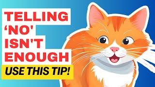 5 EASY TIPS TO MAKE YOUR CAT LISTEN TO YOU (“No” Isn’t Enough!)