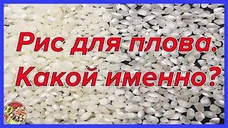 Рис для идеального плова, какой именно? | Выбирайте!