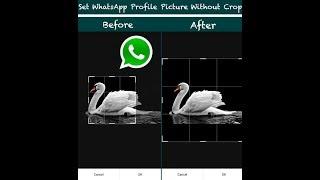 How to Set Full Profile Picture On WhatsApp w/o Crop