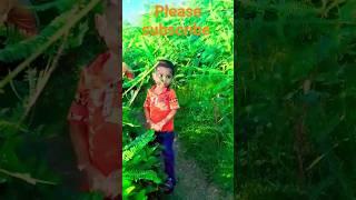 কলিজা তুই আমার#youtubeshorts #shortsfeed #shorts #short #viral short #SN KHAN 3722 #viral #tigertige