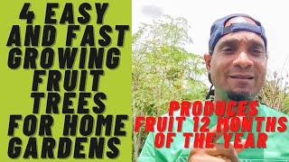 4 Easy and Fast Growing Fruit Trees For Home GARDENS | PRODUCES FRUIT 12 MONTHS OF THE YEAR