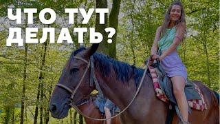 Сочи Конная прогулка| Самшитовый лес| Лето 2021| Цены на экскурсию