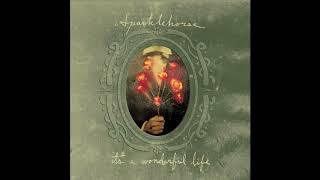 Sparklehorse - Gold Day (Audio)