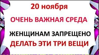 20 ноября Федотов День . Что нельзя делать 20 ноября  . Народные Приметы и Традиции Дня