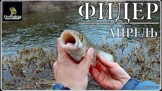 Фидер.Река Красивая Меча.Апрель. (LiveFishing)