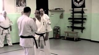 XXI Haru Gasshuku 2013;  Shihan Kazuyuki Hasegawa, Daihyo Sekai So kyokushin