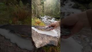 Taş Üzerinde Tuzda Alabalık Pişirme ?  / Cooking Trout in Salt on a Stone Stove