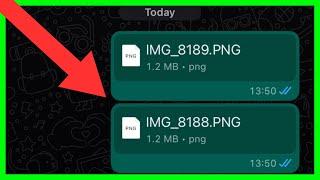 How to Send Photos as Document in WhatsApp in iPhone