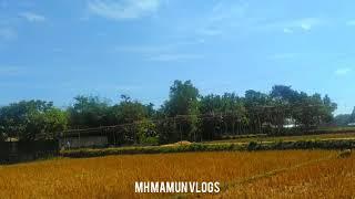 Time Lapse Village. MH MAMUN VLOGS