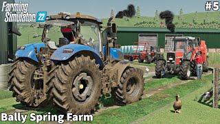 Feeding Cow/Calf, Baling Straw & Collecting Bales│Bally Spring│FS 22│Timelapse#5