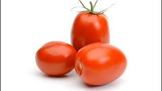 471  Как спасти помидоры от жары в теплице