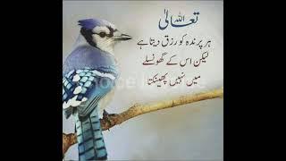 Heart touching Quotes | Motivational Quotes | Beautiful Poetry | Urdu Quotes  | Islamic Quotes